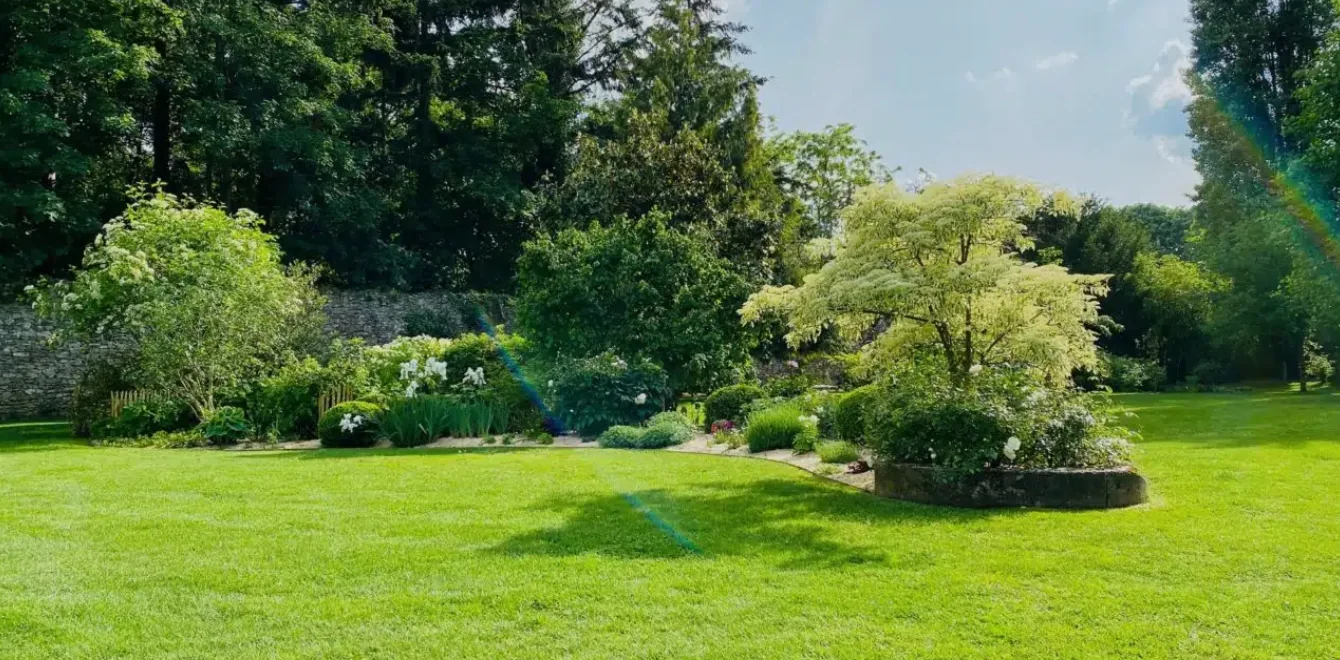 Jardin paysager